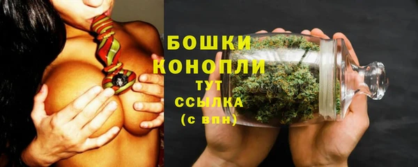молекула духа Зеленокумск
