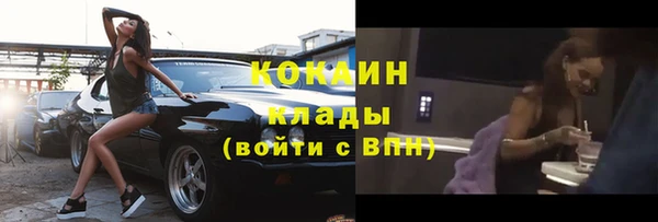 молекула духа Зеленокумск