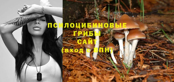 прущие крисы Зерноград