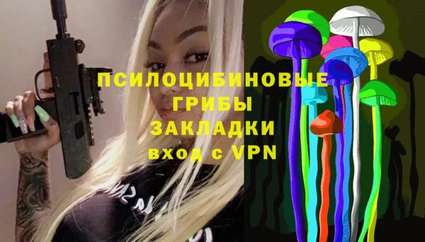 PSILOCYBIN Зеленодольск