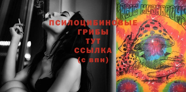 прущие крисы Зерноград