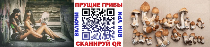 KRAKEN вход  купить наркотик  Ульяновск  Галлюциногенные грибы MAGIC MUSHROOMS 