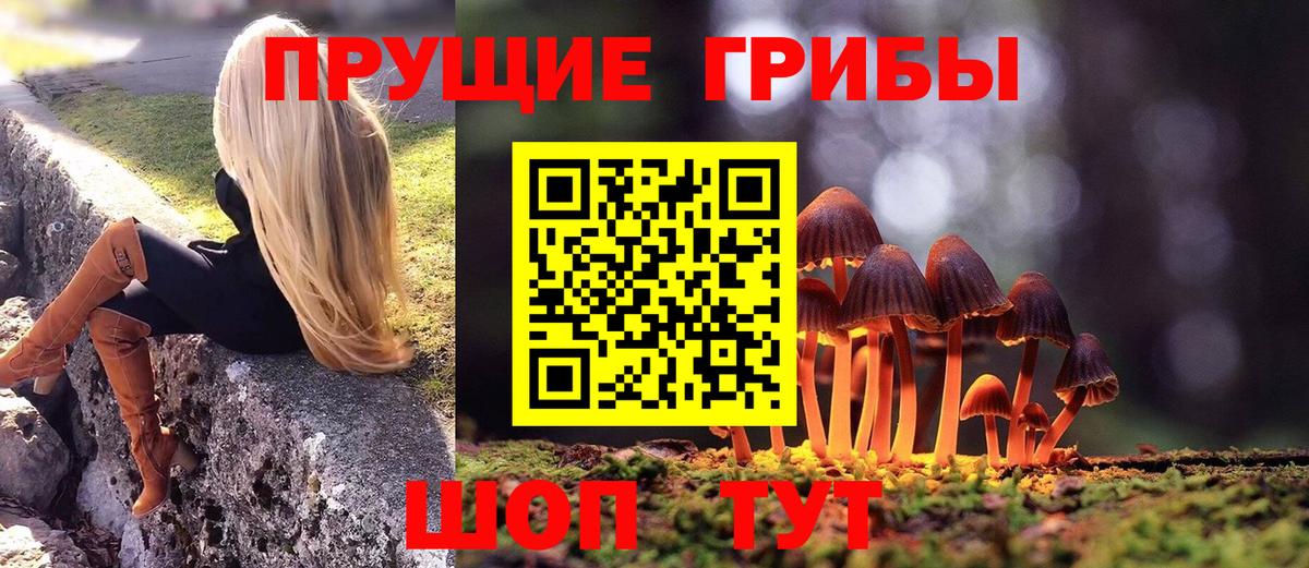 Галлюциногенные грибы MAGIC MUSHROOMS  Вход с VPN  Ульяновск 